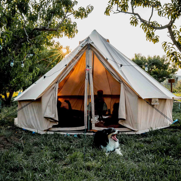 Bell Tents – Horizon Outdoor Gear