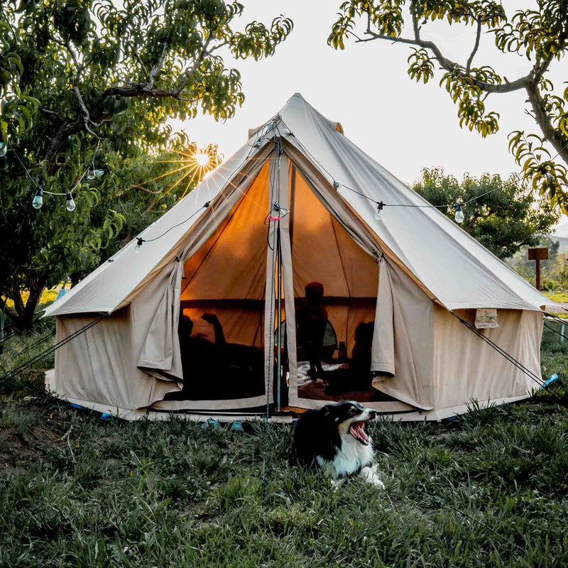 Load image into Gallery viewer, Regatta 13&#39;1&quot; Canvas Bell Tents
